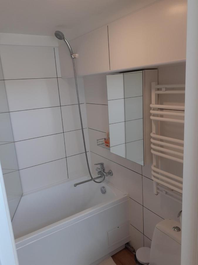 Lovely 1-Bedroom Apartment In Kaunas Old Town Exterior photo